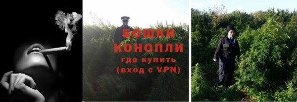 ешки Аркадак