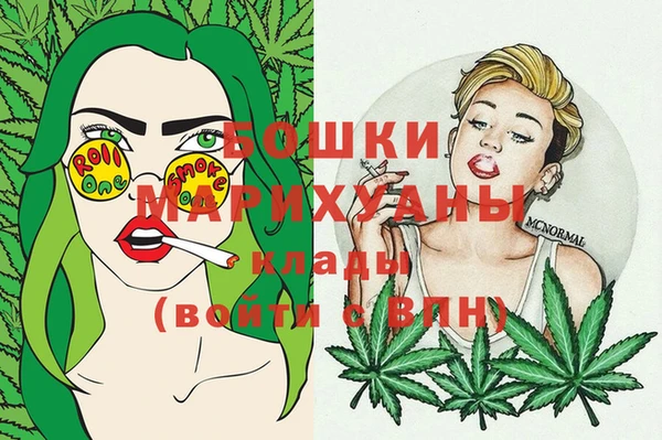 ешки Аркадак